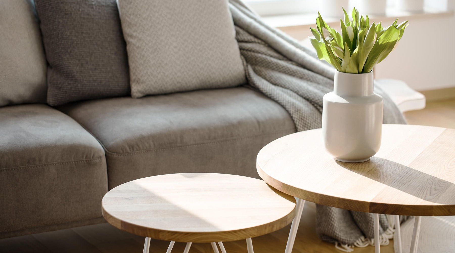 a living room with a couch, tables and a plant